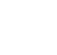 Website Designing icon